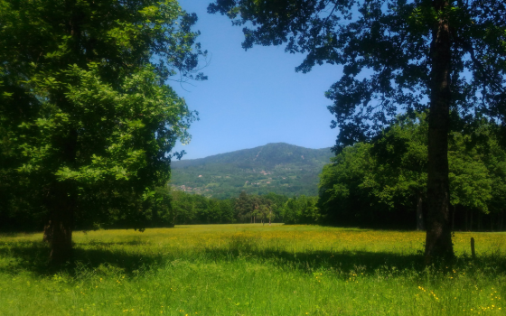 Le Contrat de Territoire des Espaces Naturels Sensibles (CTENS)