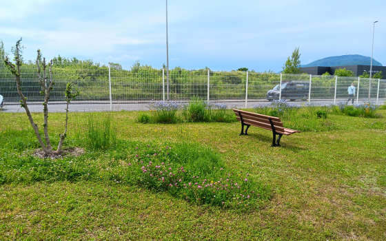 Végétalisation urbaine : s'adapter face au changement climatique