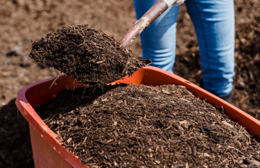 Don de compost 2022
