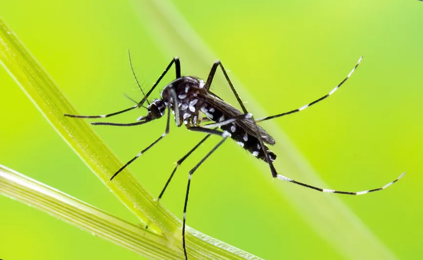 Crédit photo : ARS Rhone-Alpes 