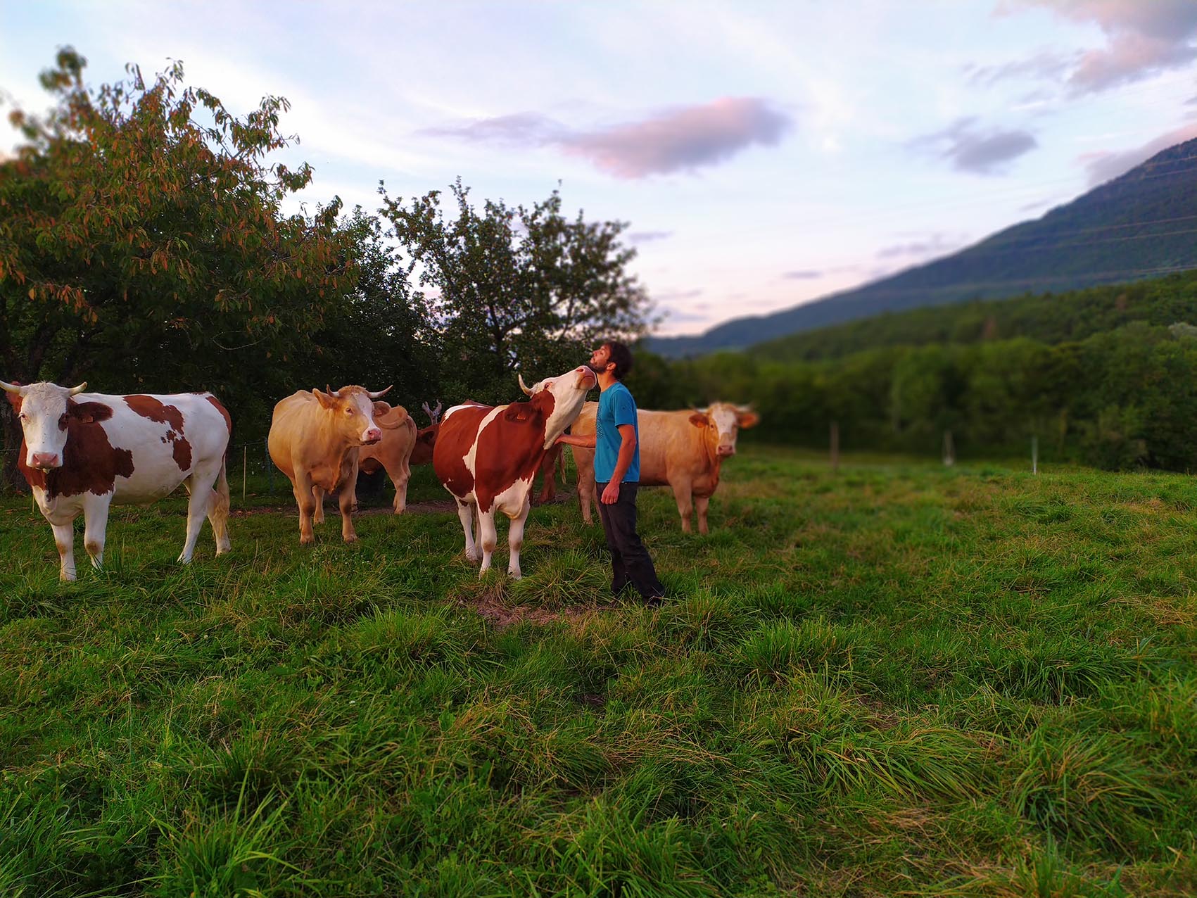 Photo Adrien Maire - porteur de projet agricole AA