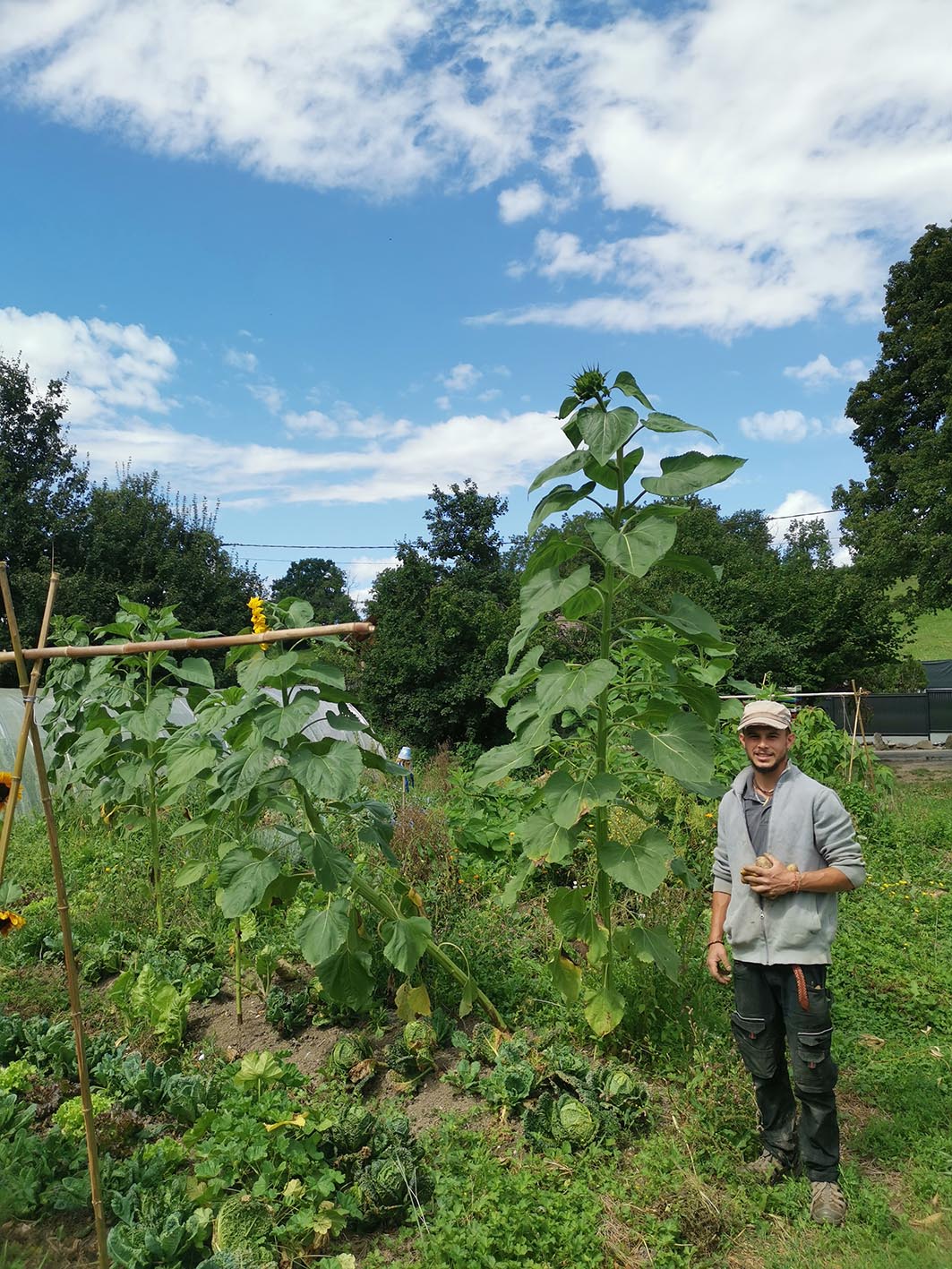 Photo Pierre Lavergnat - porteur de projet agricole AA