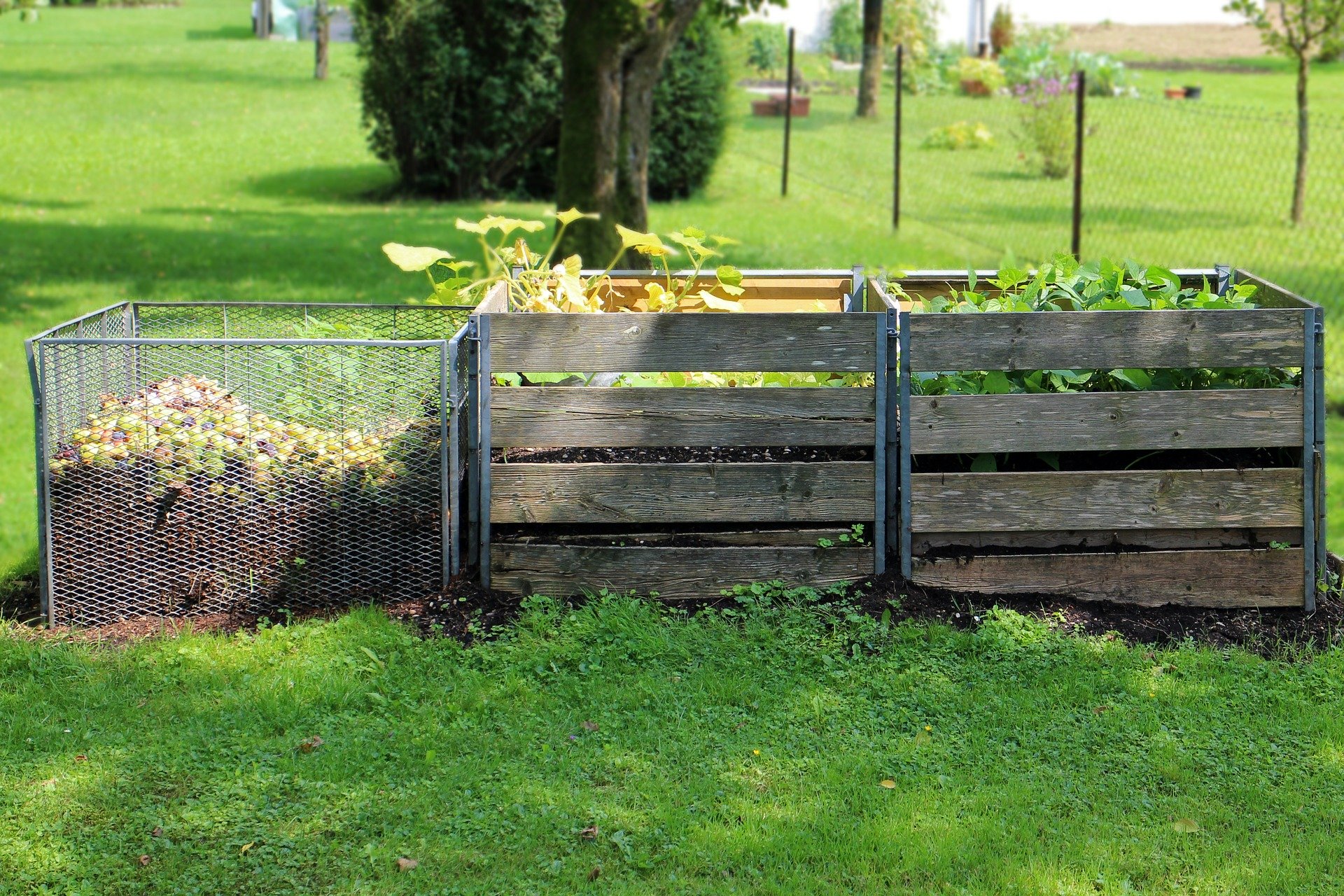 Compost dans la nature