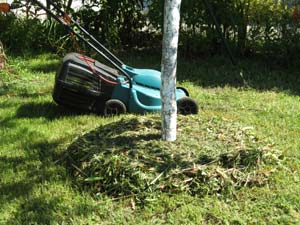 Paillage de l'herbe tondue